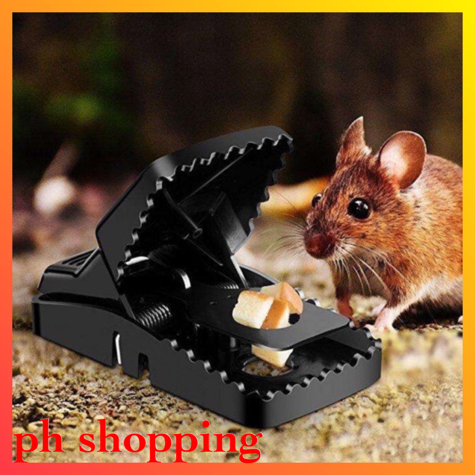 where to buy mice traps