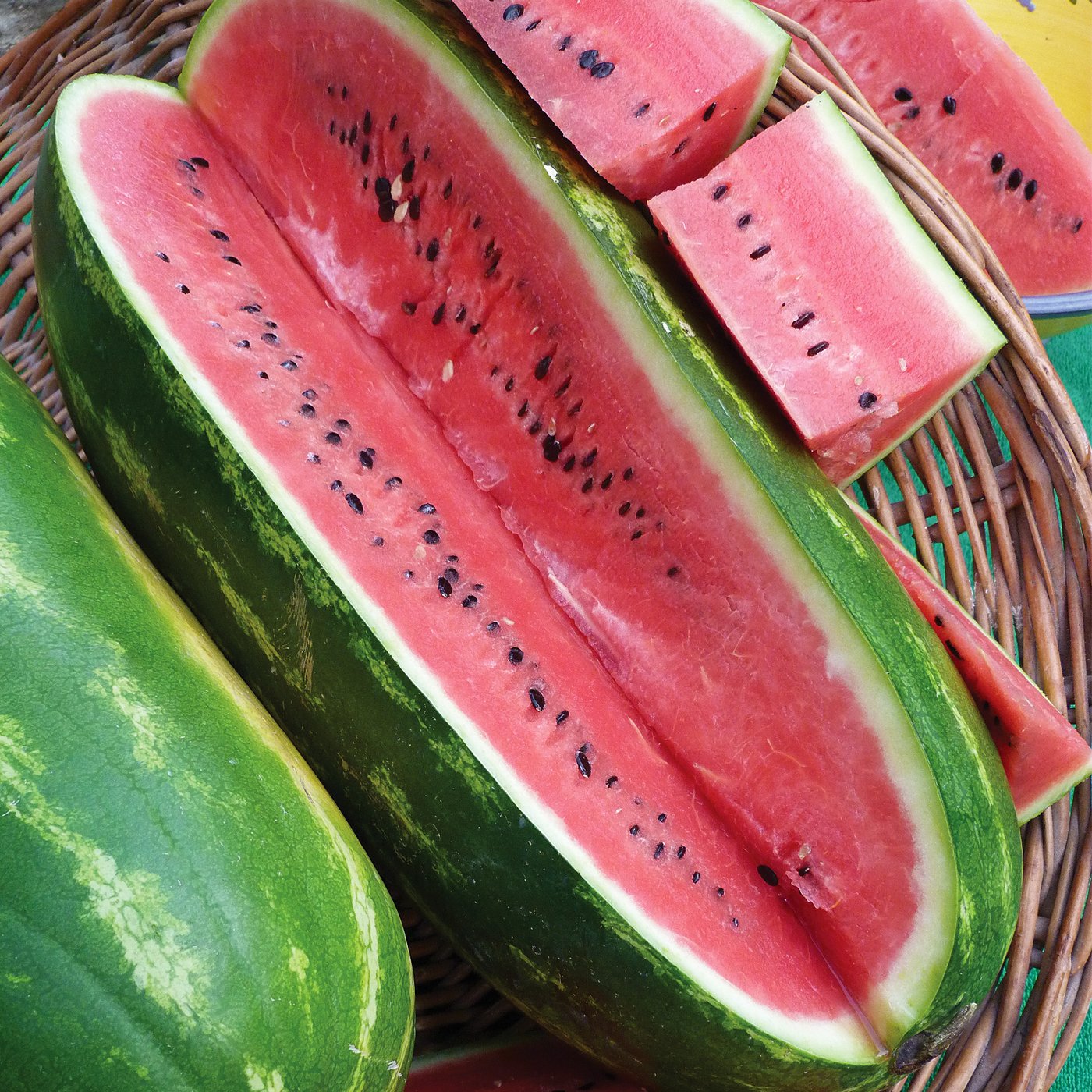 Melon Jubilee Watermelon Florida Heirloom Whitwam Organics