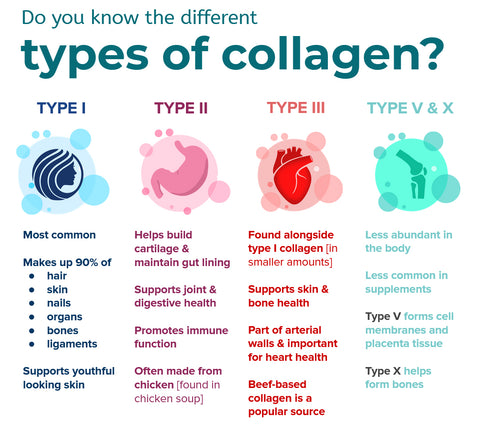 type of collagen