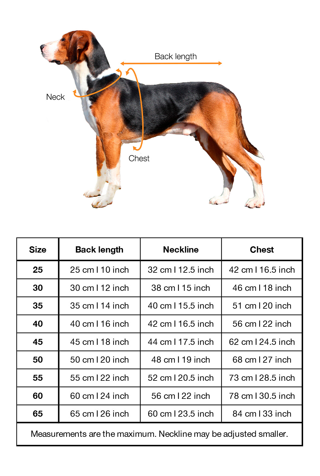 The Ultimate Dog Apparel Measuring Guide