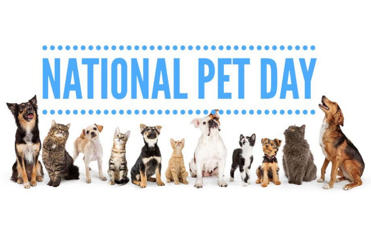 National Pet Days 2024 Caron Cristie