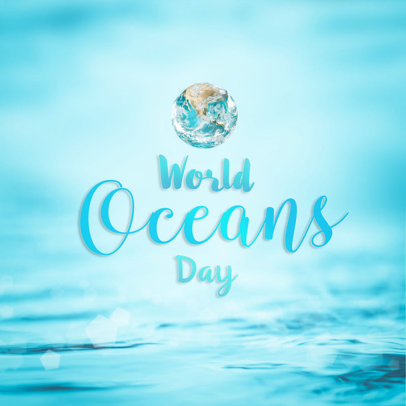 Simple Actions To Make A Difference On World Ocean Day