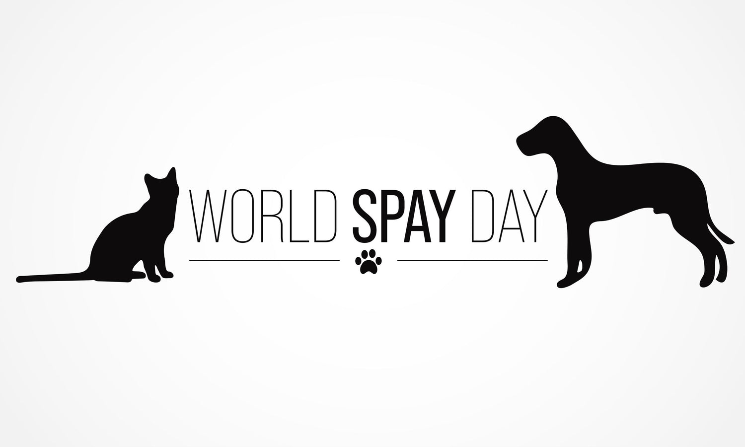 Save A Life World Spay Day Vital Pet Life