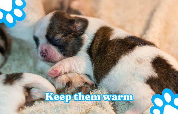 Keep them warm