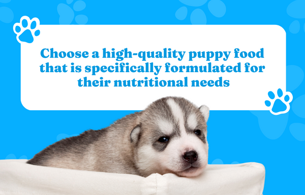 Choose a high-quality puppy food that is specifically formulated for their nutritional needs