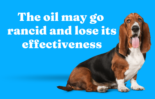 The oil may go rancid and lose its effectiveness