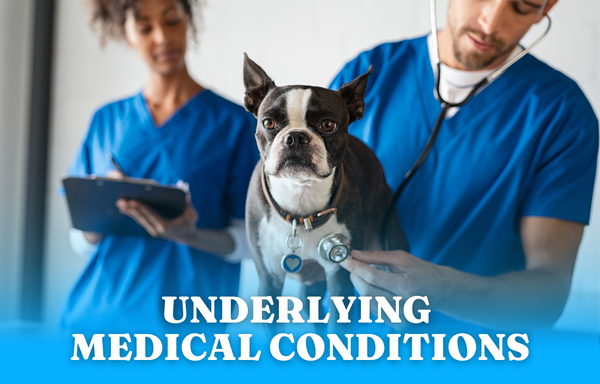 Underlying medical conditions