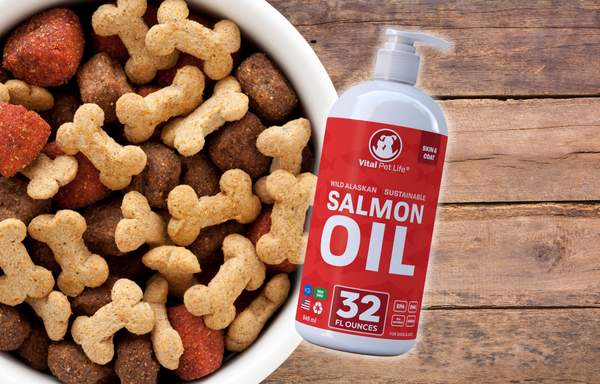 Why Salmon Oil is Helpful For Dogs?