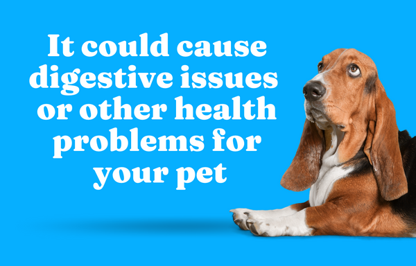 It could cause digestive issues or other health problems for your pet