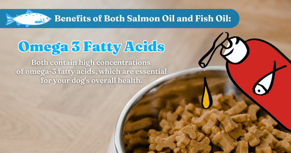 Benefits Of Both Salmon Oil And Fish Oil: Omega Fatty Acids
