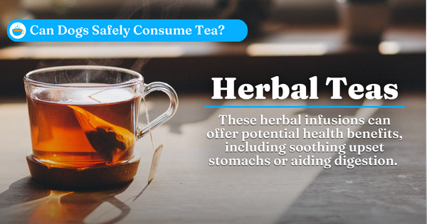 Herbal Teas