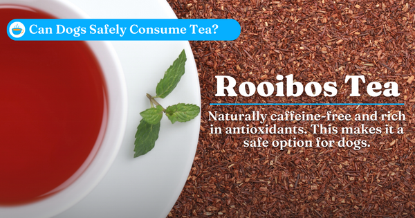 Rooibos Tea