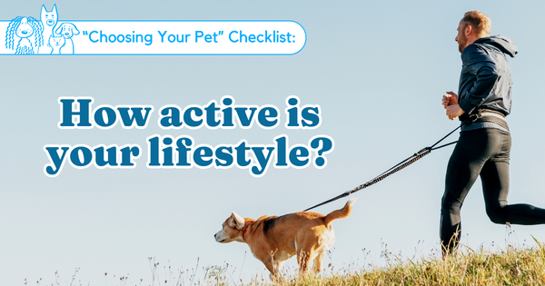 How active is your lifestyle?