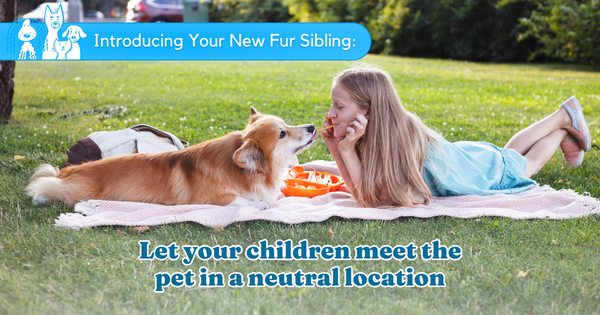 Let your children meet the pet in a neutral location