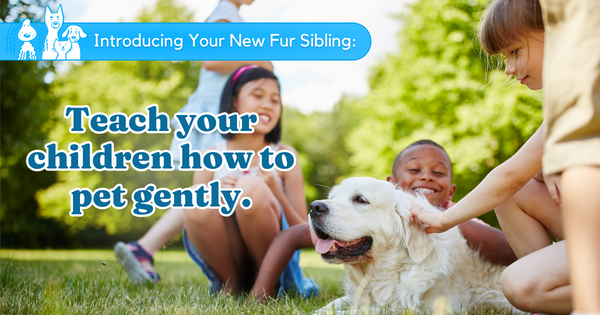 Teach your children how to pet gently