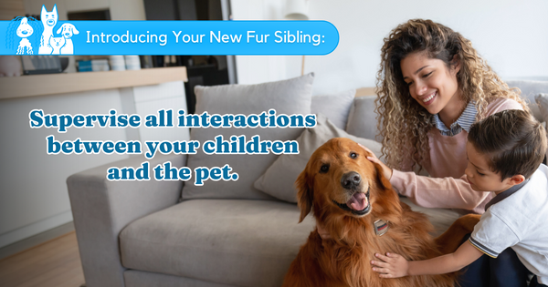 Supervise all interactions between your children and the pet