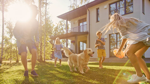 Dog playing at the backyard with people