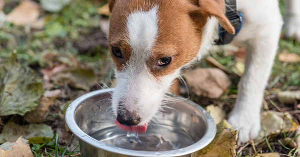 Hydration