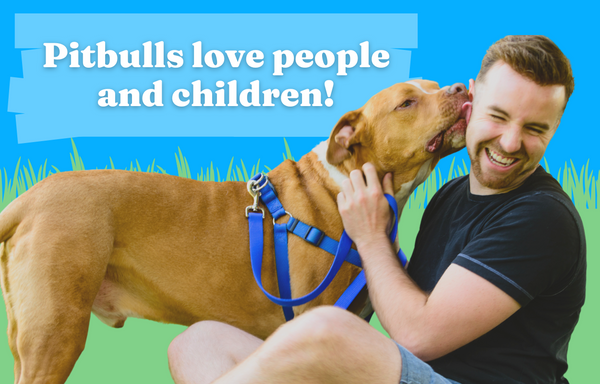 Pitbulls love people and children!