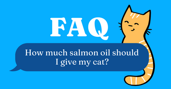 how much salmon oil should i give my cat