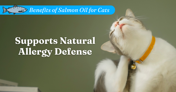 Supports Natural Allergy Defense
