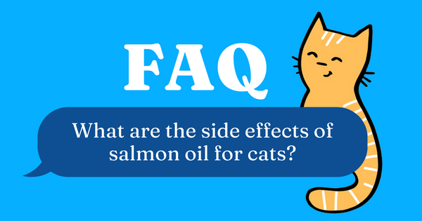 what are the side effects of salmon oil for cats