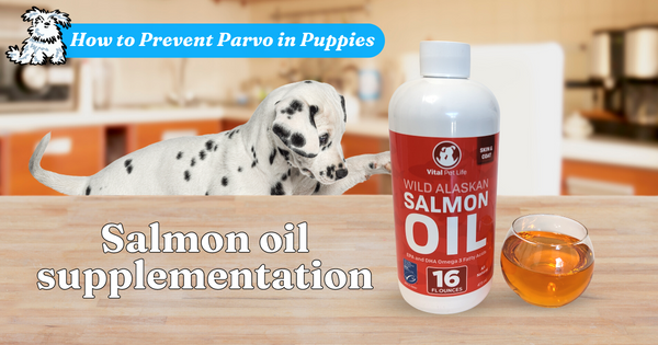 Salmon oil supplementation