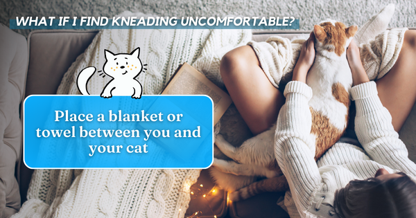 Place a blanket or towel between you and your cat