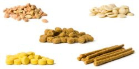 Supplements for dogs