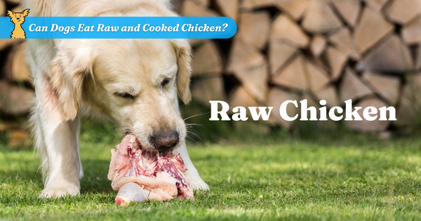 Raw Chicken