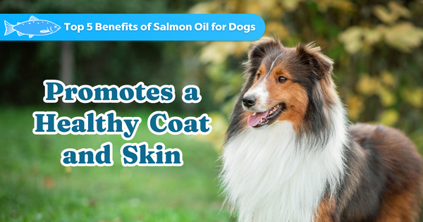 Promotes a Healthy Coat and Skin