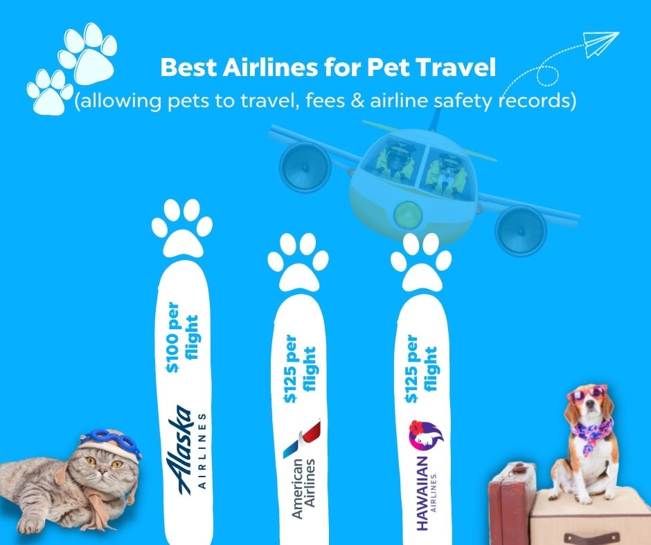 airlink pet travel cost