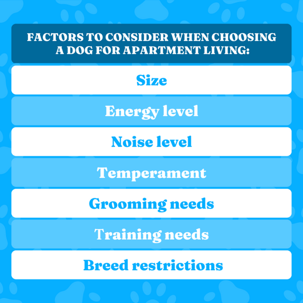 Factors To Consider For Apartment-Friendly Dogs