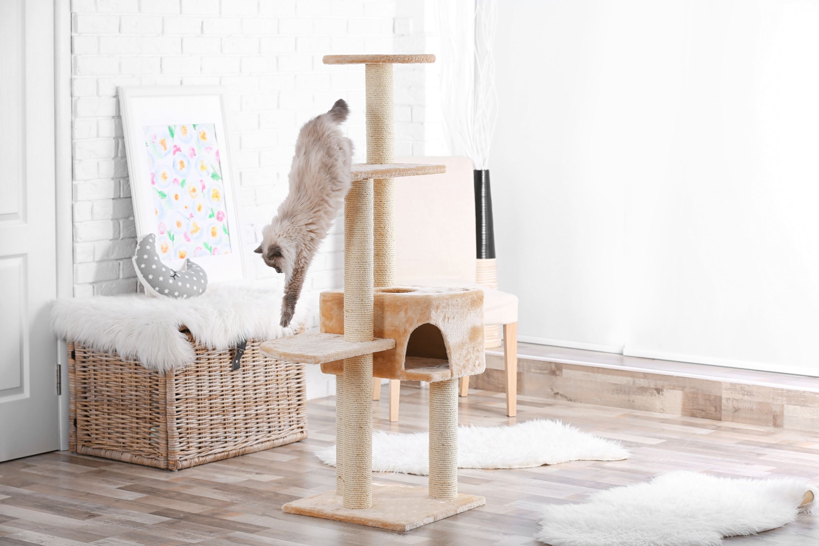 cat tower