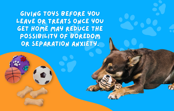 If you are leaving the house, give your pet something to play with to distract them while you are away. Giving toys before you leave or treats once you get home may reduce the possibility of boredom or separation anxiety.