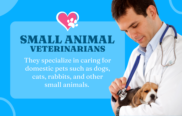 Small Animal Veterinarians