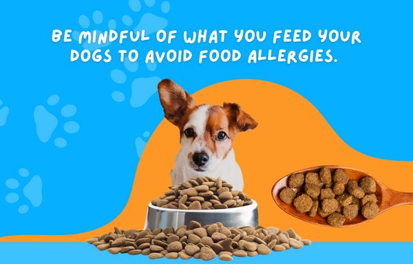Be mindful of what you feed your dogs to avoid food allergies. 