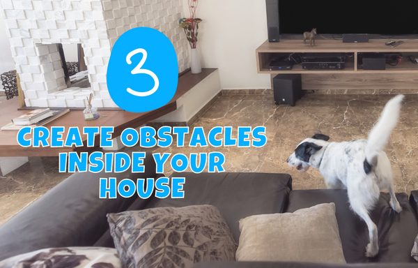 Create Obstacles Inside your House