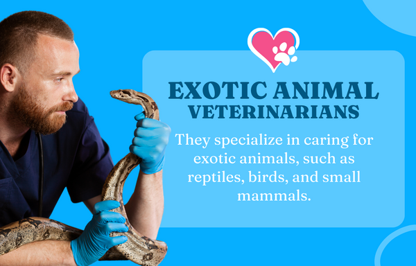 Exotic Animal Veterinarians