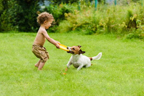 Child playing with dog