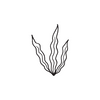 Tasmanian Kelp Symbol