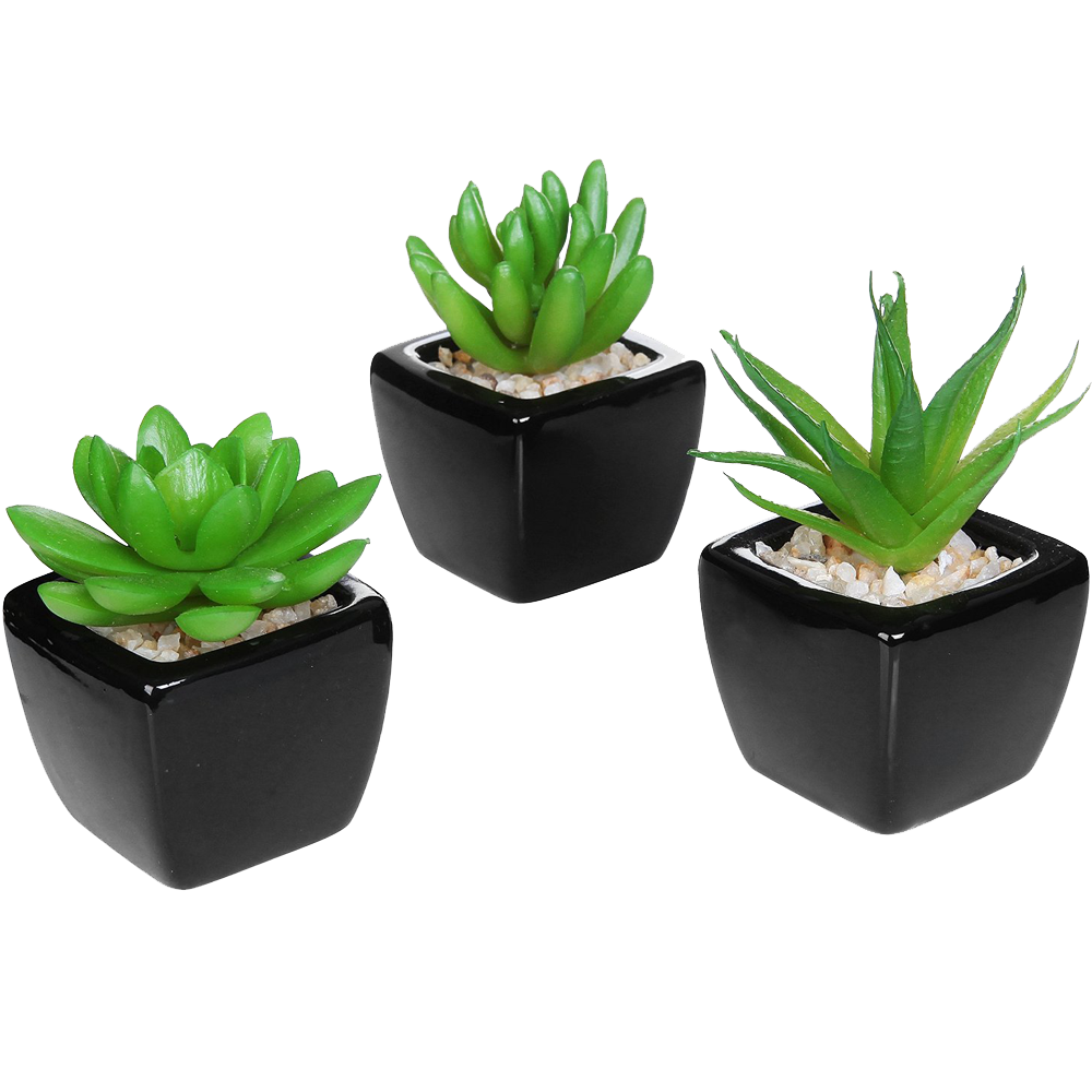 Set Of 3 Modern Home Decor Mini Succulent Artificial Plants With ...