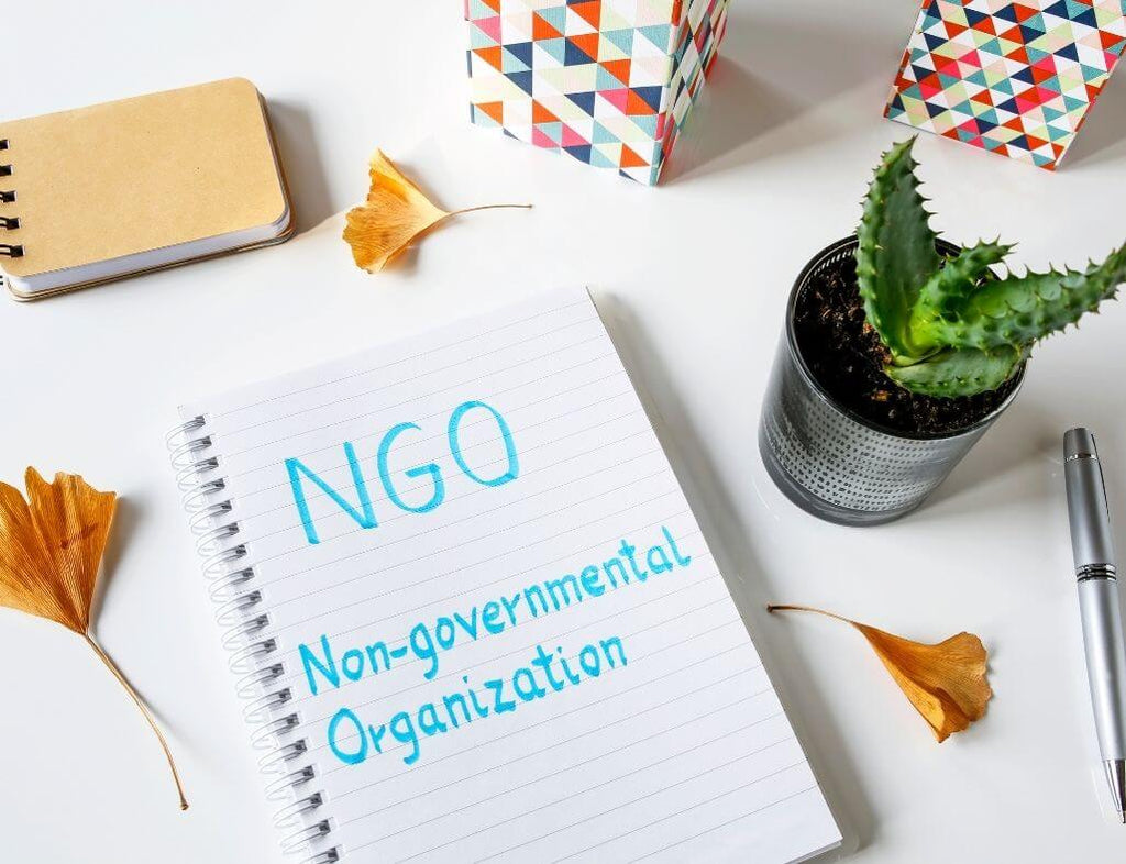 a piece of paper with the abbreviation "NGO" and the long version "Non-governmental organization""