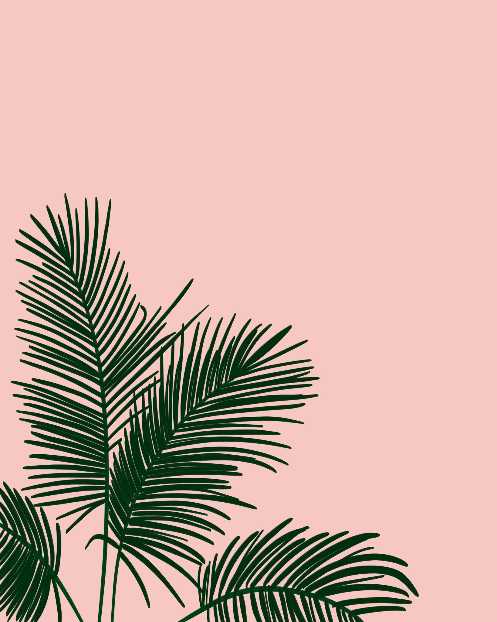 Mayumi-Ko - Fronds in Low Places Pink Print