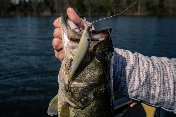 Building your 6th Sense: Jerkbait Fishing – 6th Sense Fishing