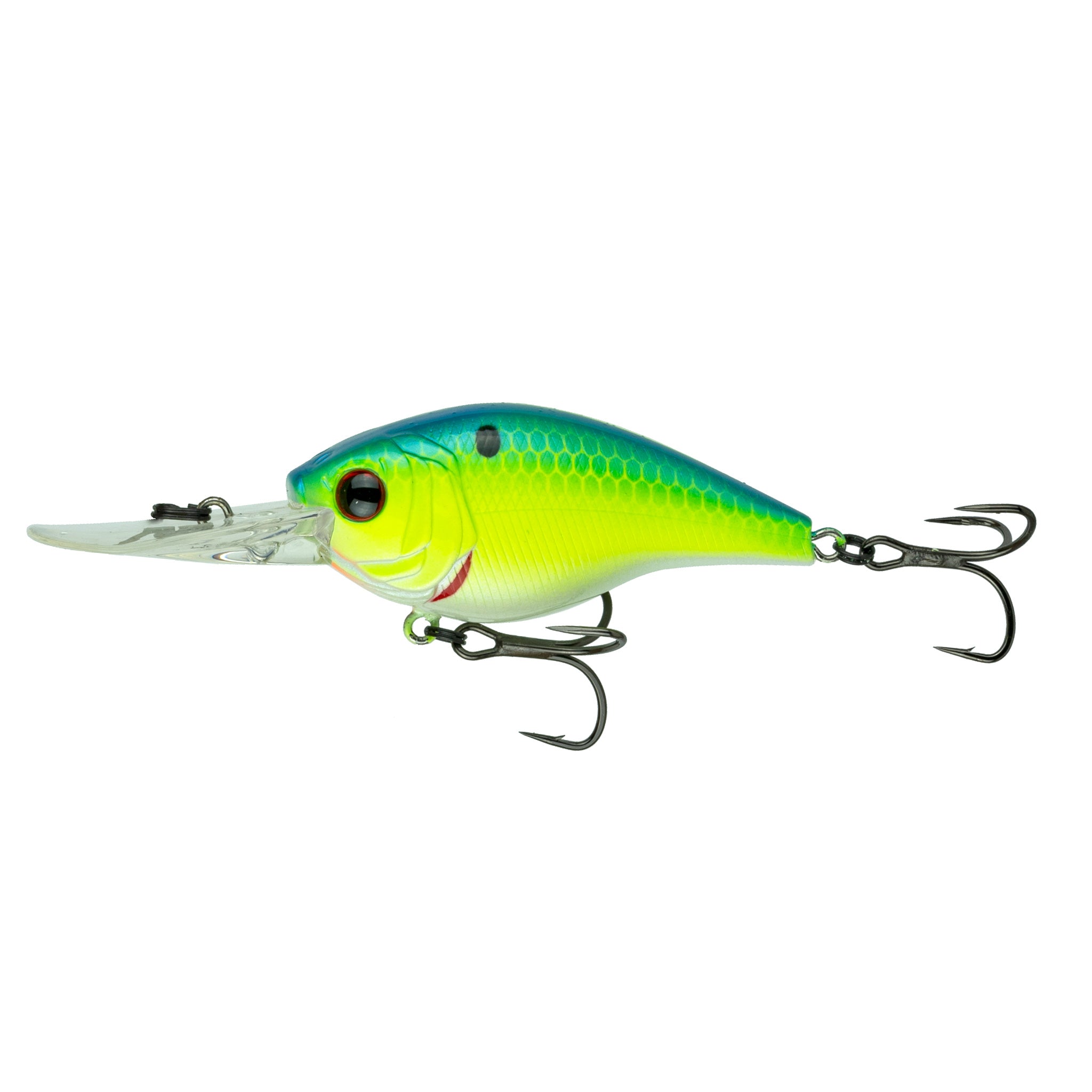 Cloud 9 - Blue-Treuse Shad