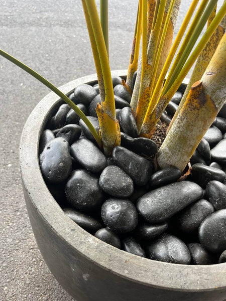 black-sand-garden-pebbles-rocks-in-stock