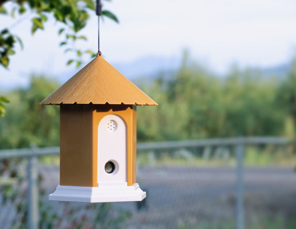 no bark birdhouse