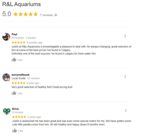 R&L Aquariums google reviews screenshot