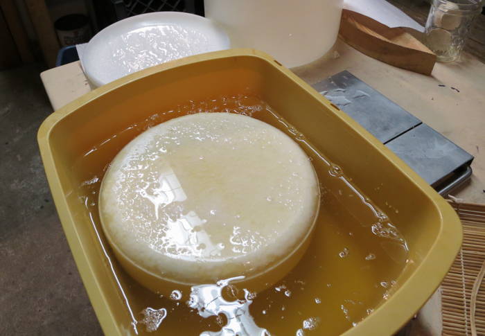 Making and Using Salt Brine | Cheese Making Supply Co.